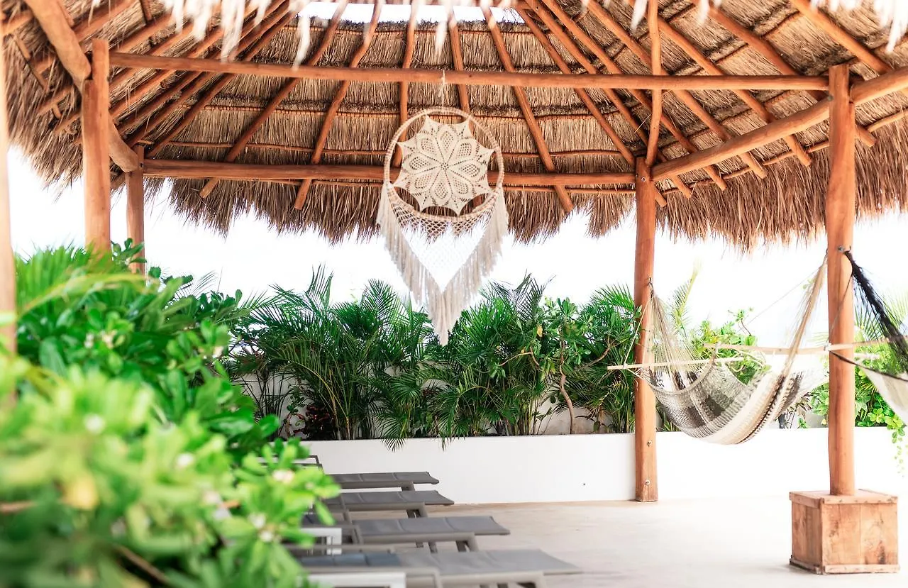 Hotel 52 Playa Del Carmen Mexico