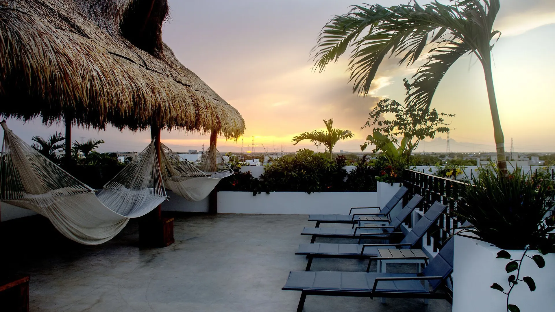 Hotel 52 Playa Del Carmen